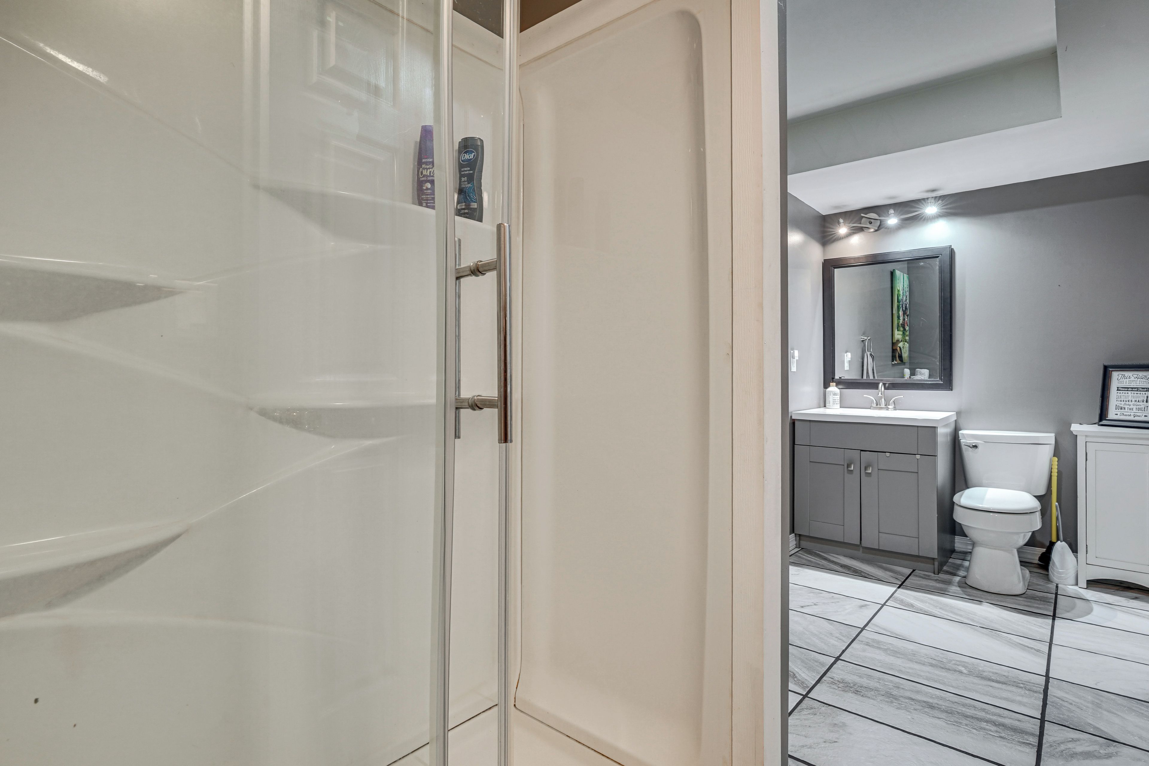 A bathroom with a white toilet, a sink, and a mirror above it. There is a cabinet with a door and a shower area visible.