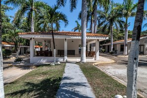 A covered outdoor area with a tiled roof, surrounded by palm trees, and a concrete pathway leading to it.