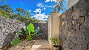 Un muro de piedra con una puerta, un camino de concreto y una planta de hojas grandes.