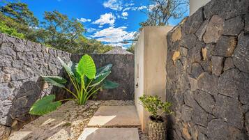 A stone wall with a door, a concrete pathway, and a plant with large leaves.