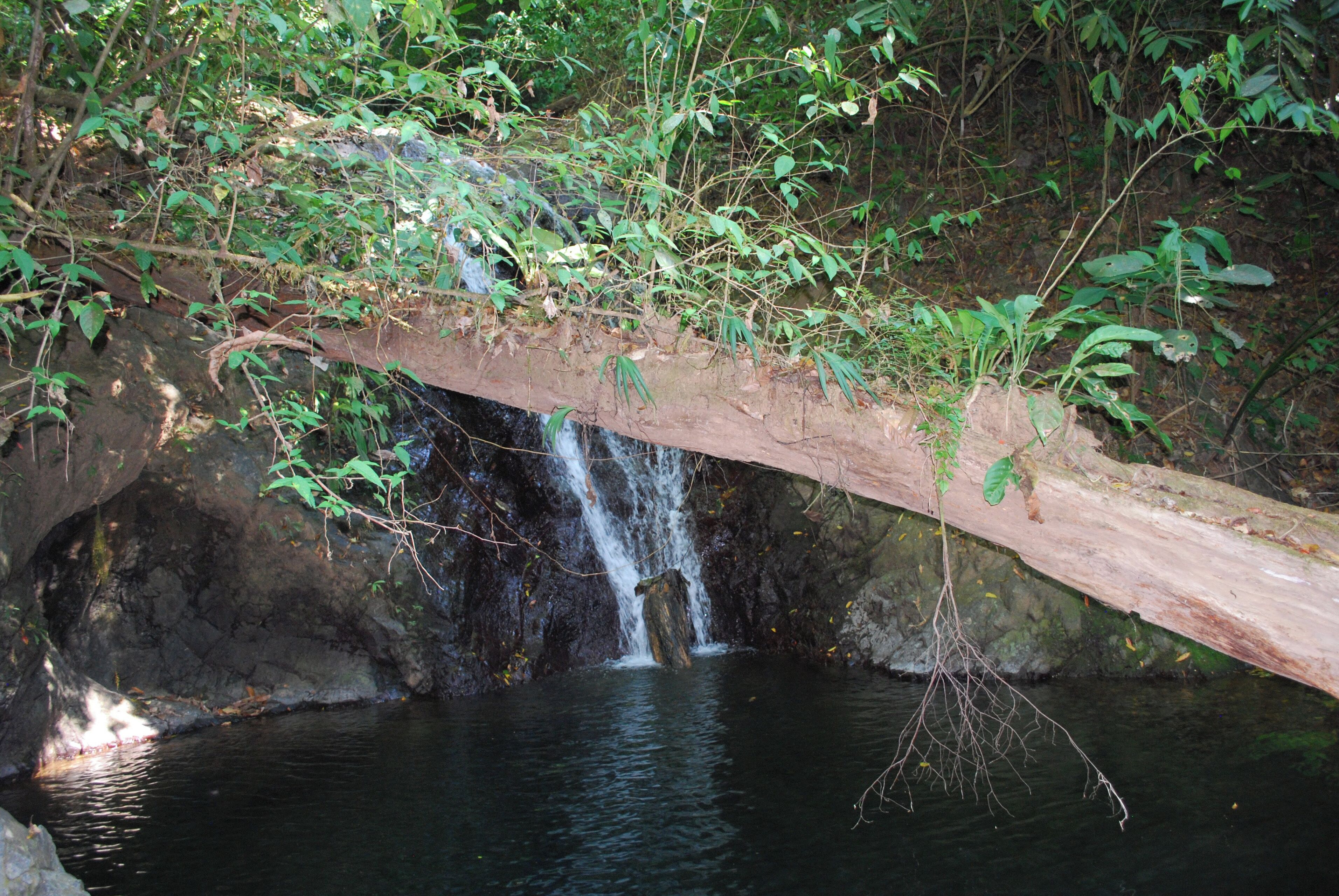 Ein natürlicher Wasserfall über einem Felsenbecken mit einer Holzbrücke.