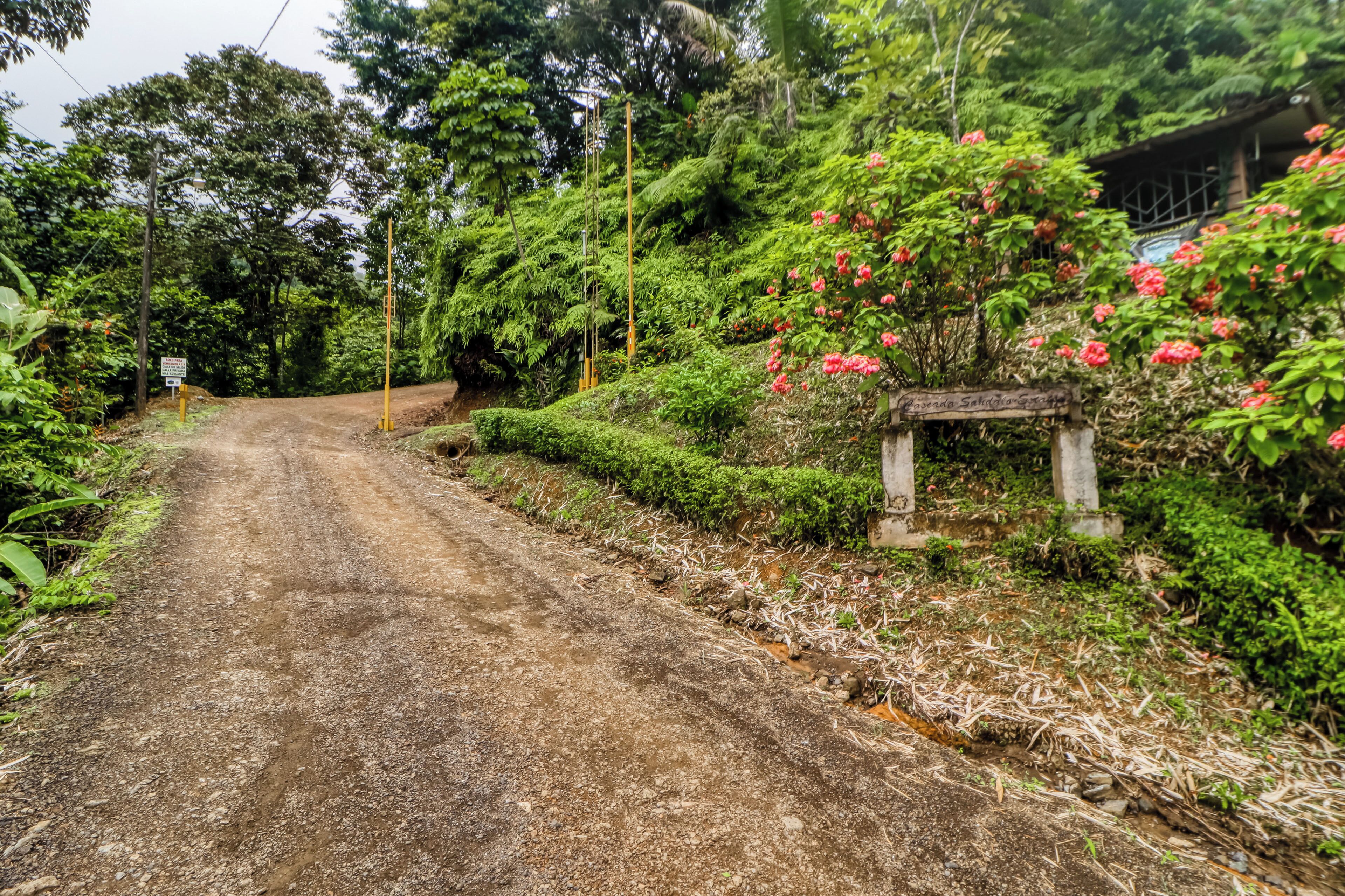 A rural dirt road flanked by lush greenery and a signpost.