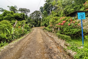 A rural road flanked by lush greenery and a sign for 'ASADA 3 RIOS'. - Secluded Ojochal Studio w/ Trails & Pool Access! (Ciudad Cortés)