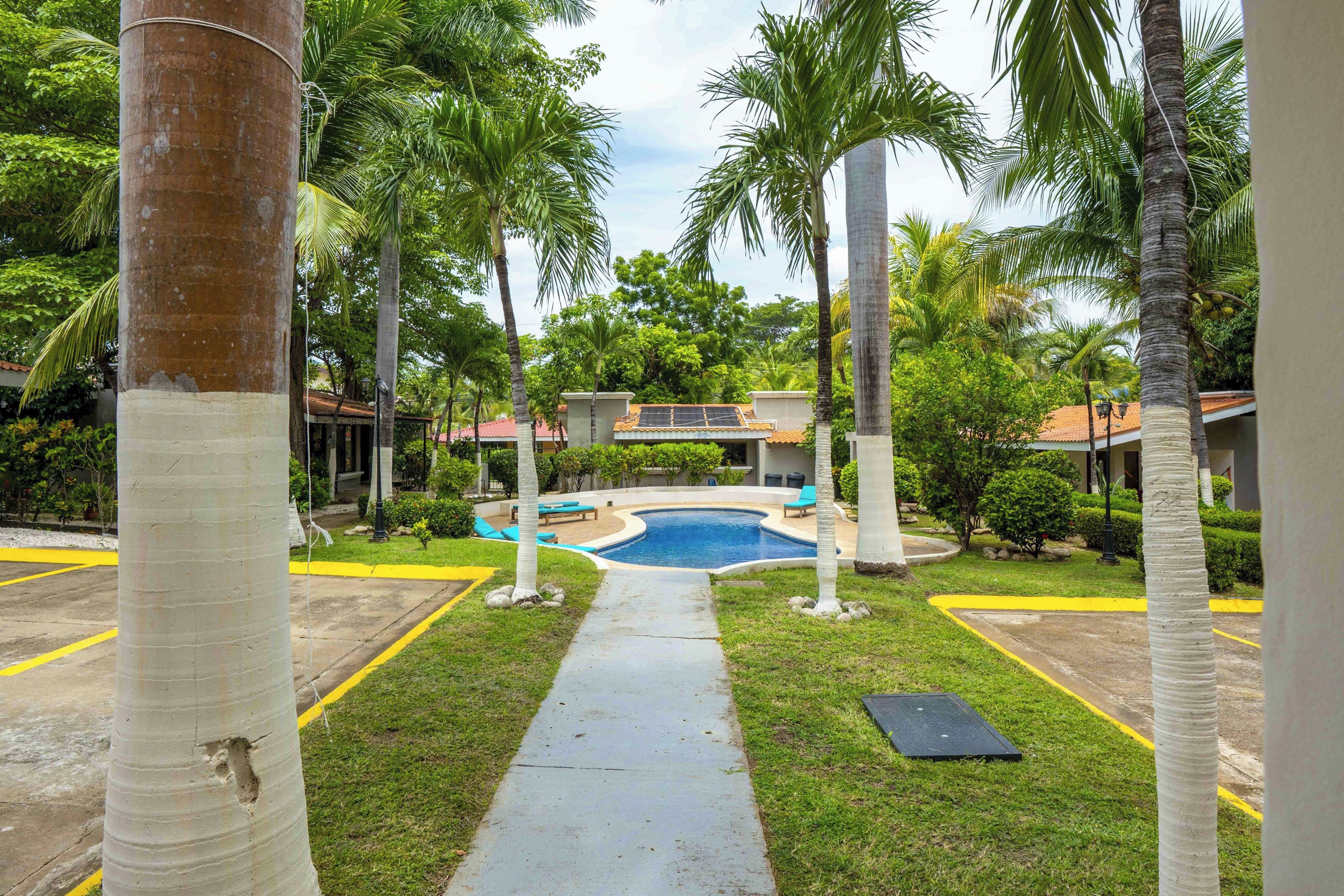 A pool area with a clear path leading to a swimming pool, surrounded by palm trees and a building with a tiled roof.