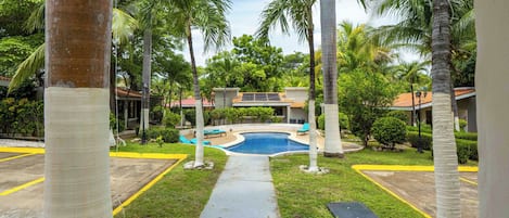A pool area with a clear path leading to a swimming pool, surrounded by palm trees and a building with a tiled roof.