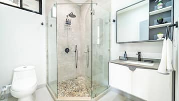 A modern bathroom with a glass-enclosed shower, a toilet, and a sink with a mirror above.