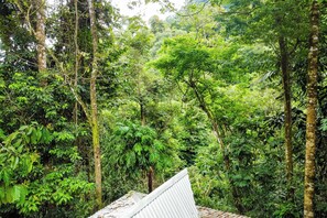 A dense forest with tall trees and a corrugated metal roof in the foreground. - Ojochal Jungle Studio w/ Pool & River Access! (Ciudad Cortés)