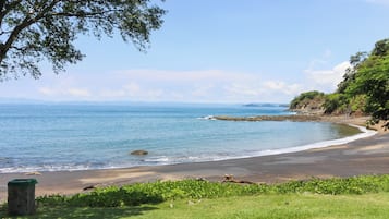 Uma praia com céu claro, águas calmas e um primeiro plano com grama.