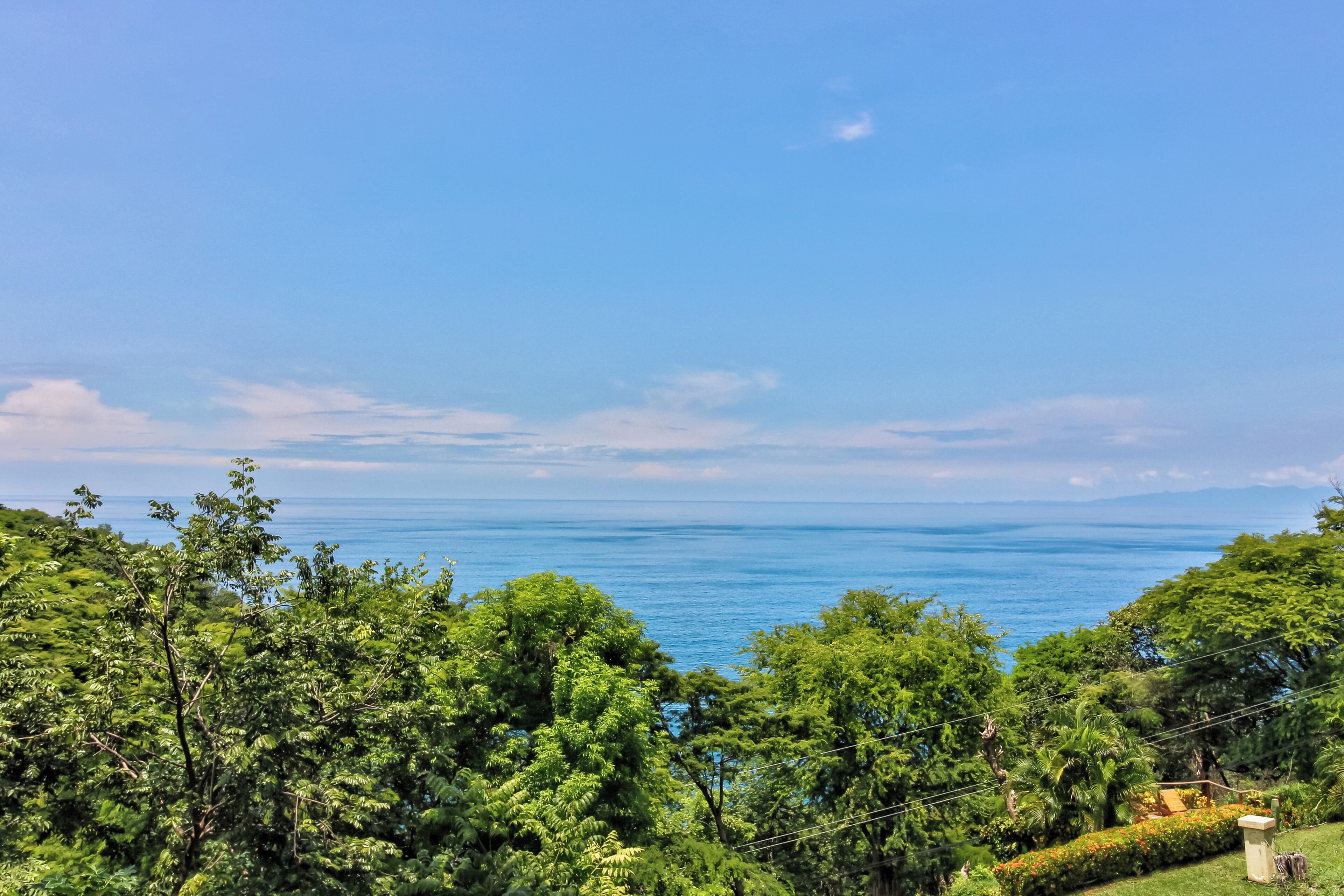 A landscape with a view of the sea, surrounded by dense green foliage.