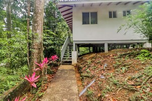Un sendero conduce a un edificio blanco con techo rojo, rodeado de abundante vegetación y terreno inclinado.