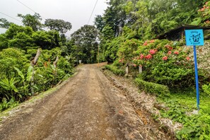 A rural road flanked by lush greenery and a sign for 'ASADA 3 RIOS'. - Off-grid Ojochal Studio w/ Pool & Trail Access! (Ciudad Cortés)