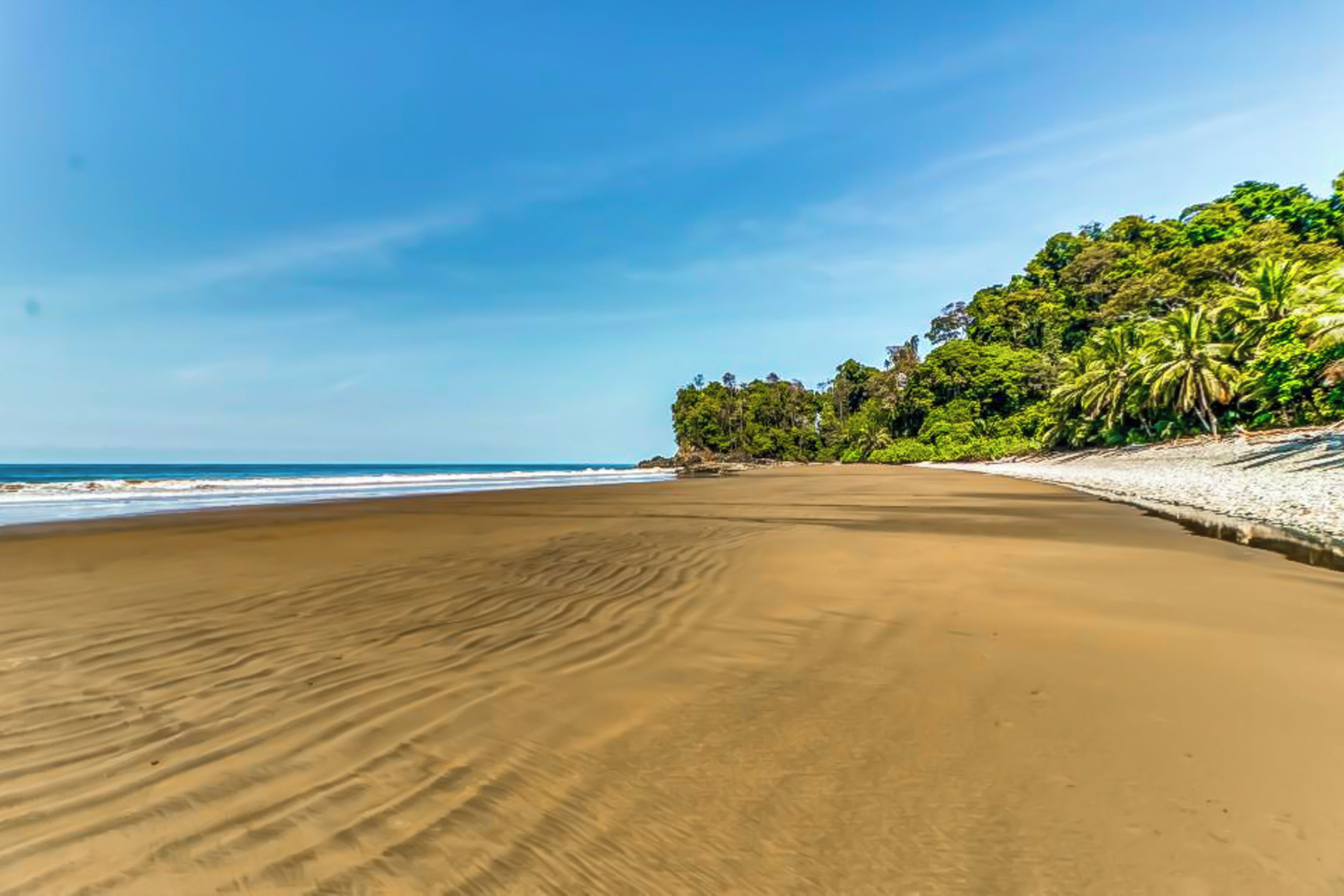 A wide sandy beach with gentle waves, a clear sky, and dense green foliage on the right.