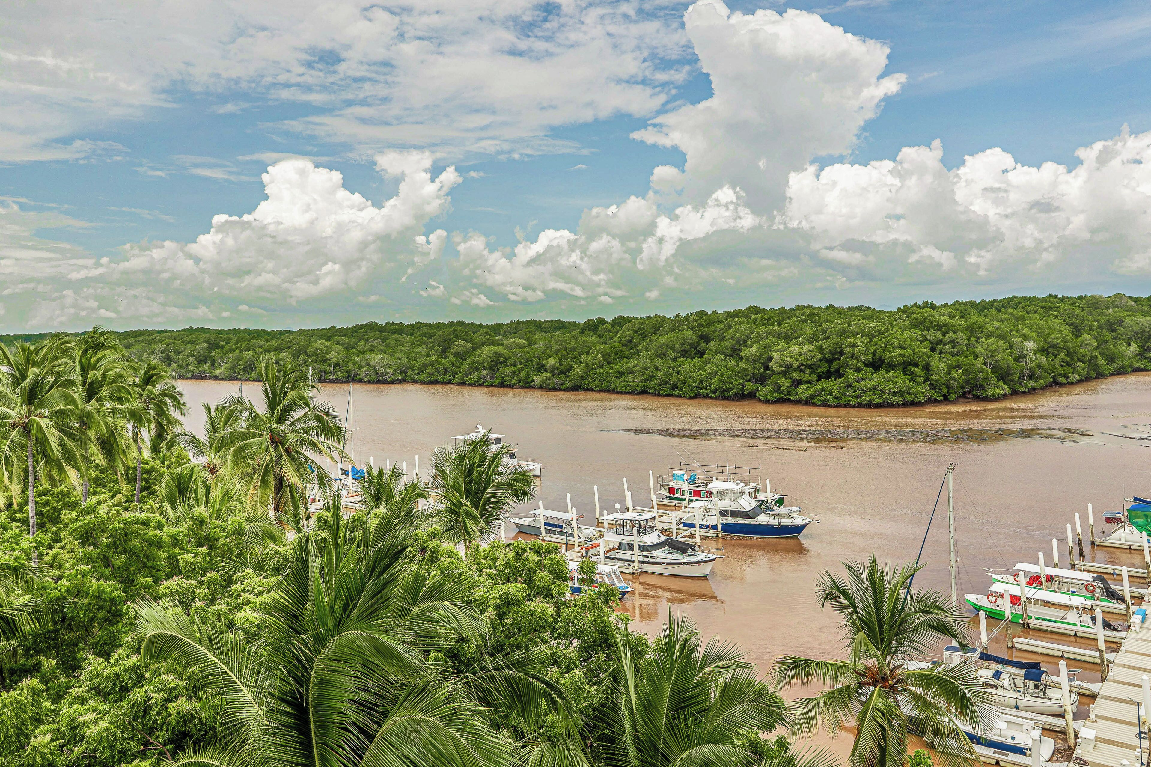 A riverfront with boats docked, surrounded by dense green foliage.