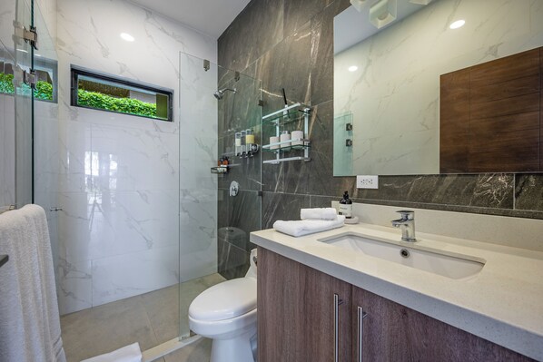A modern bathroom with a glass shower enclosure, a toilet, a vanity with a sink, and a mirror.