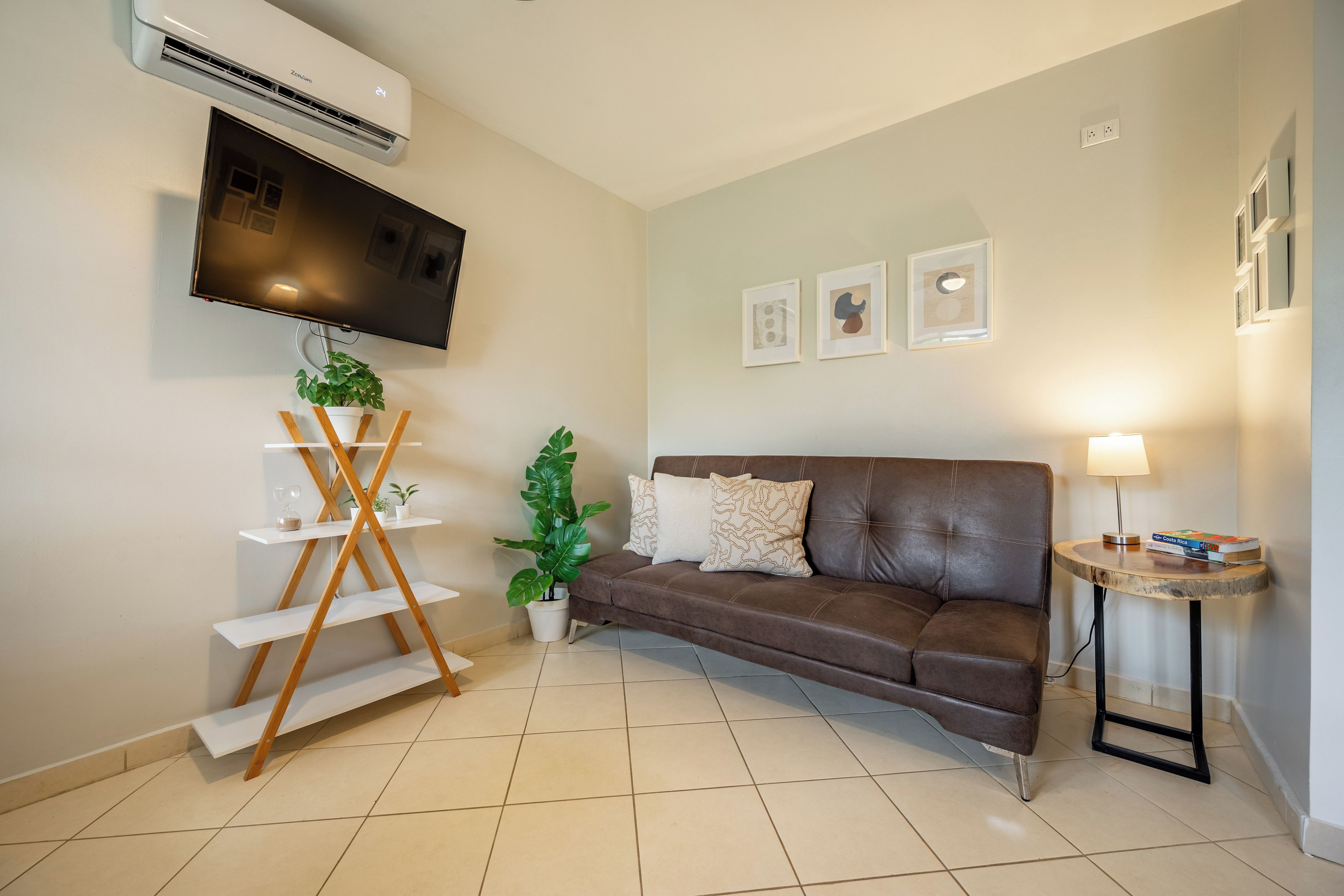 A living room with a brown sofa, a mounted TV, a plant, and a small table with books.