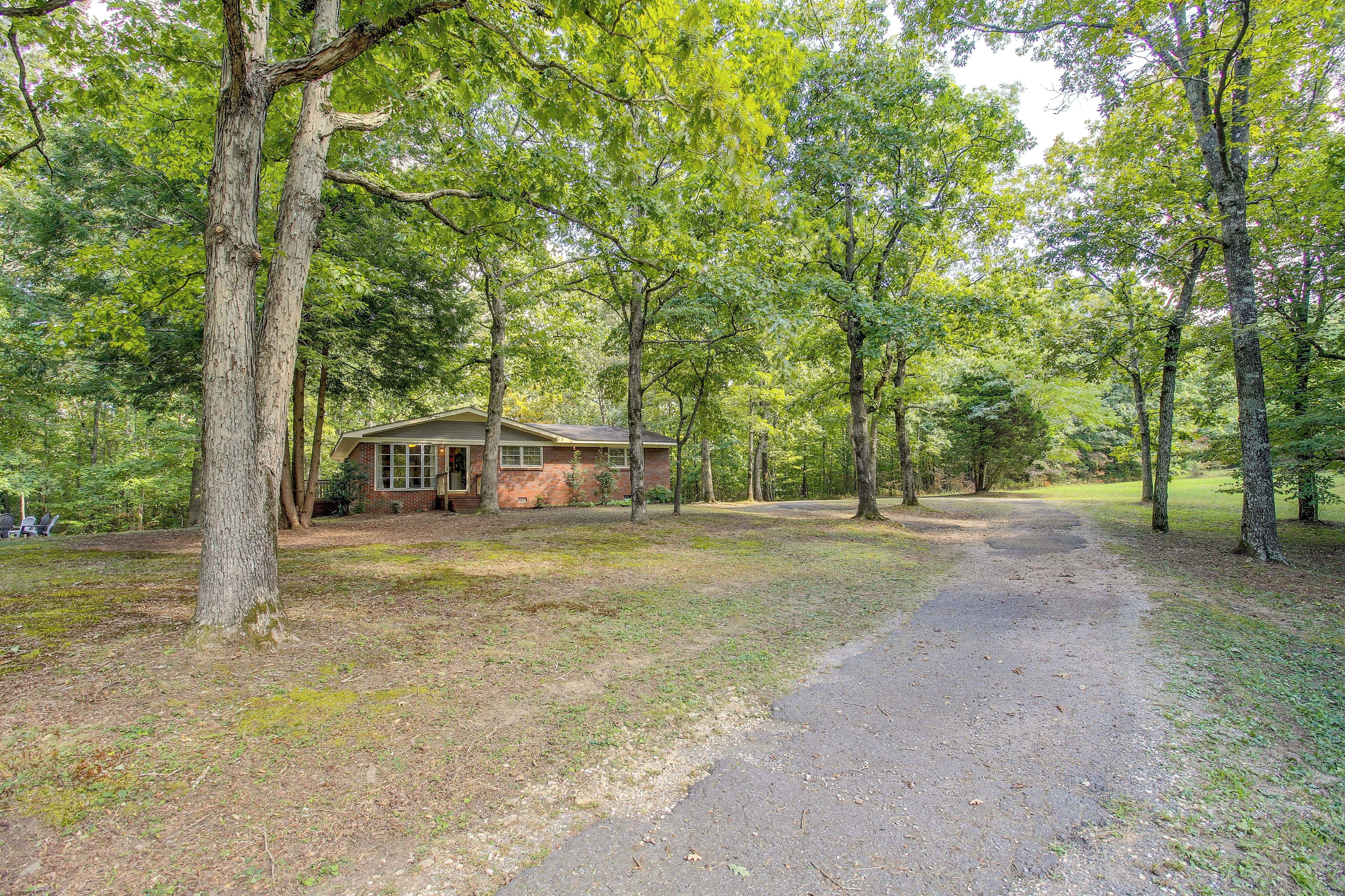 A rustic cabin with a gravel driveway, surrounded by dense trees.