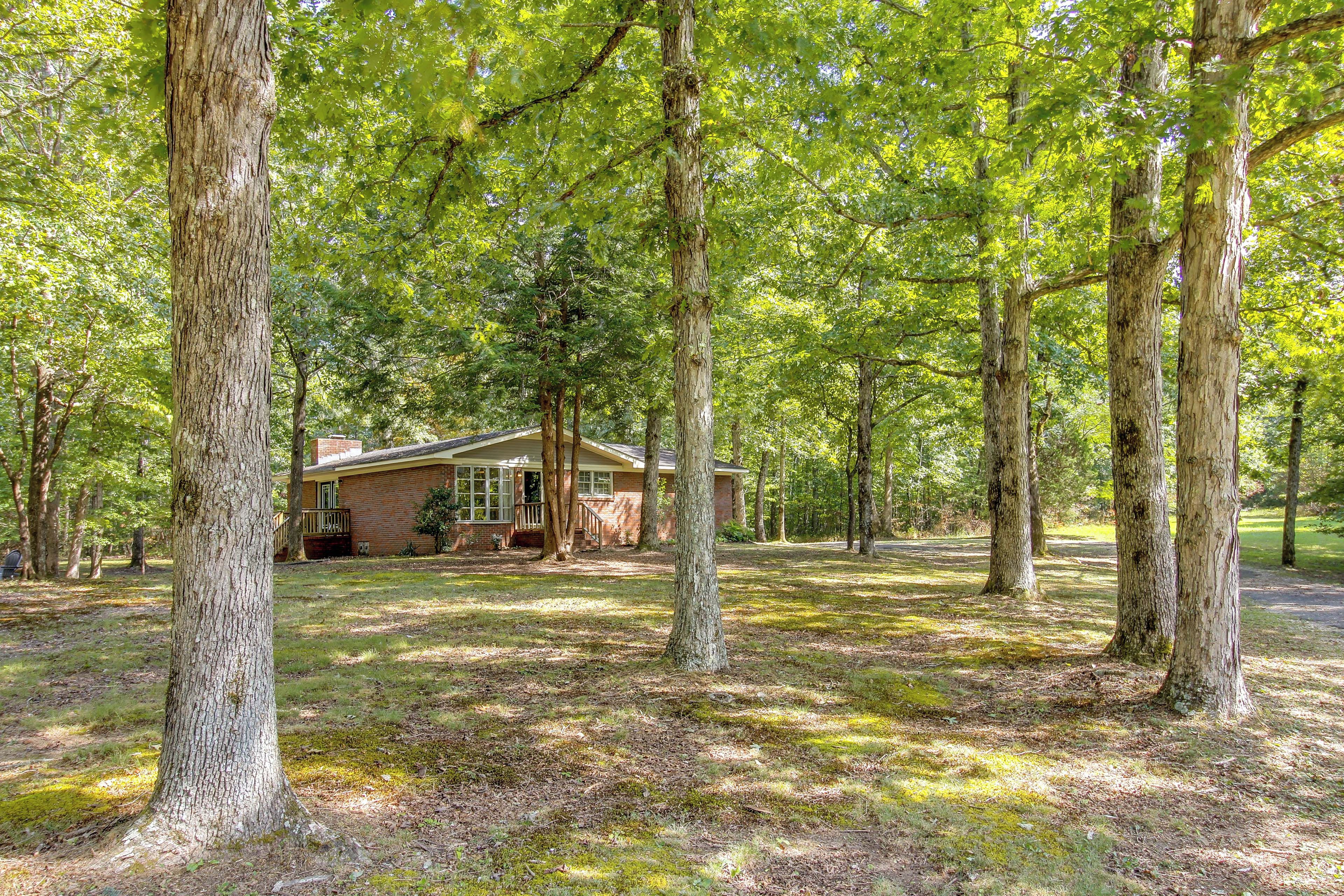 A rustic cabin surrounded by tall trees in a forested area.