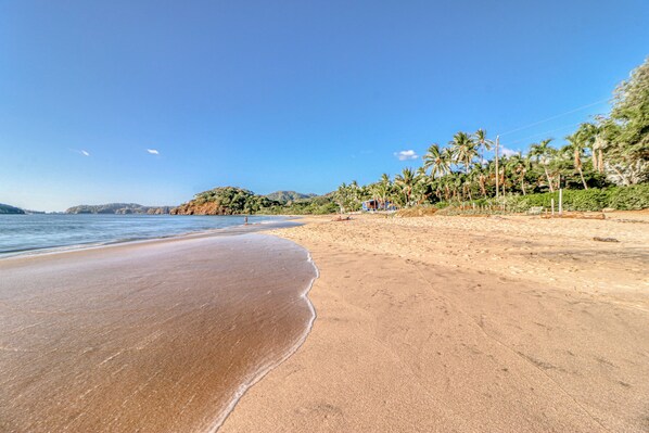 A beach with a clear sky, a sandy shore, and a few palm trees.