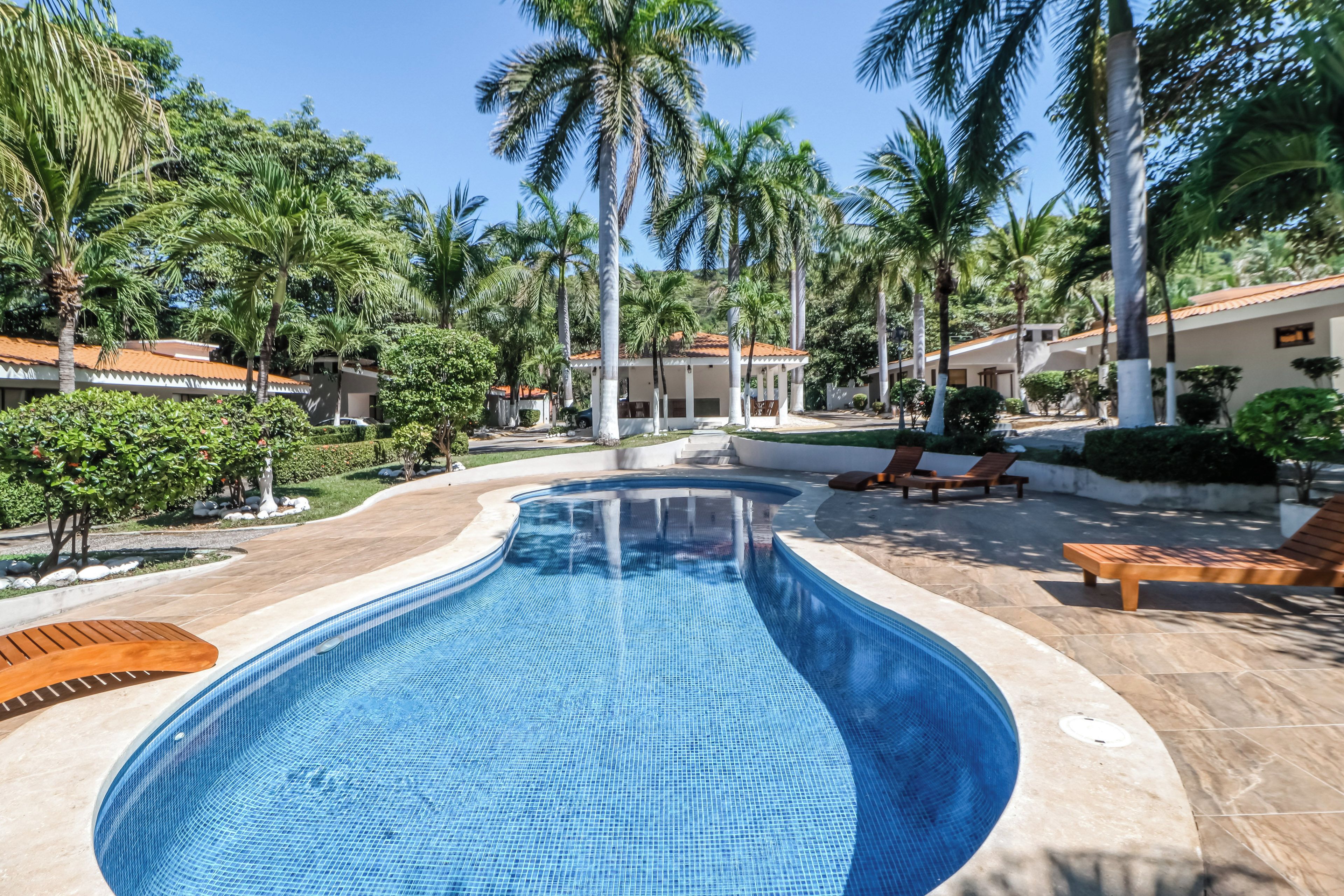 A swimming pool with a tiled edge, surrounded by palm trees and lounge chairs.