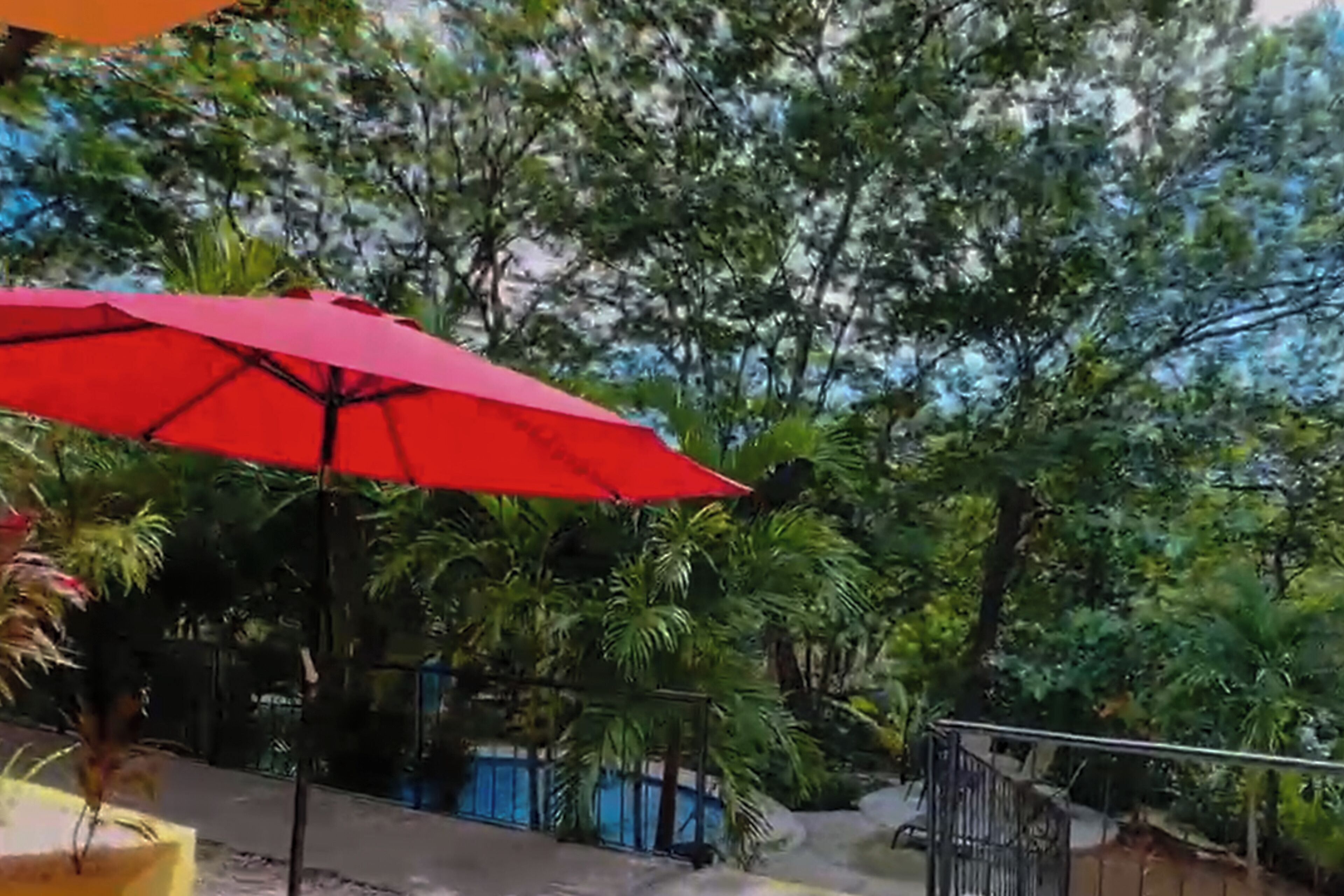A red umbrella, a metal gate, and dense greenery.