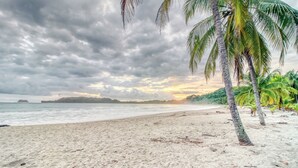 Una spiaggia con palme e cielo nuvoloso.