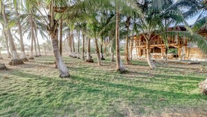 A tropical resort with palm trees, a grassy lawn, and a wooden building with a balcony.