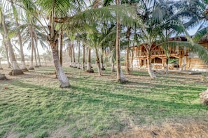 A tropical resort with palm trees, a grassy lawn, and a wooden building with a balcony.