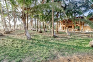 A tropical resort with palm trees, a grassy lawn, and a wooden building with a balcony.