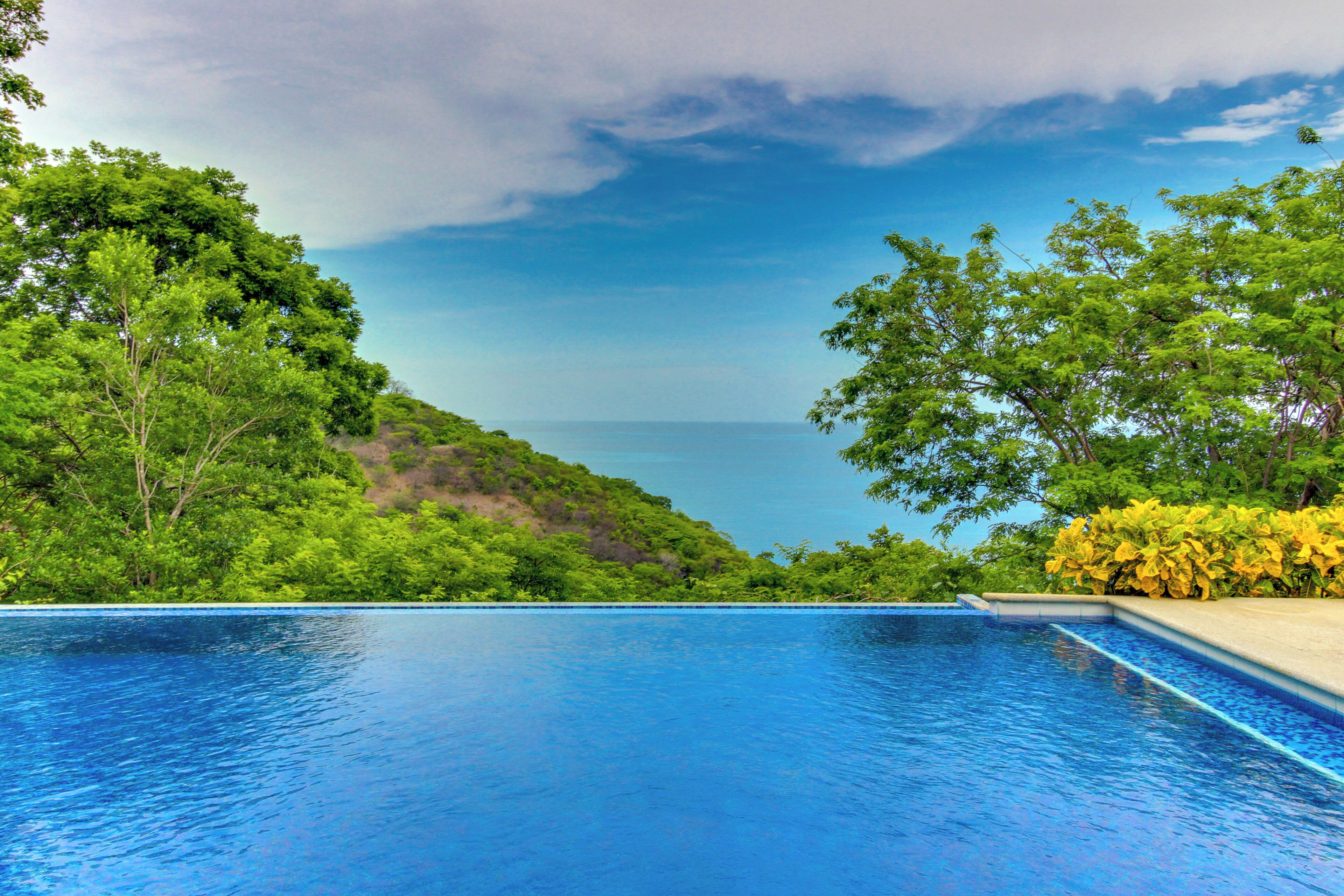 A swimming pool with a view of the sea and lush greenery.
