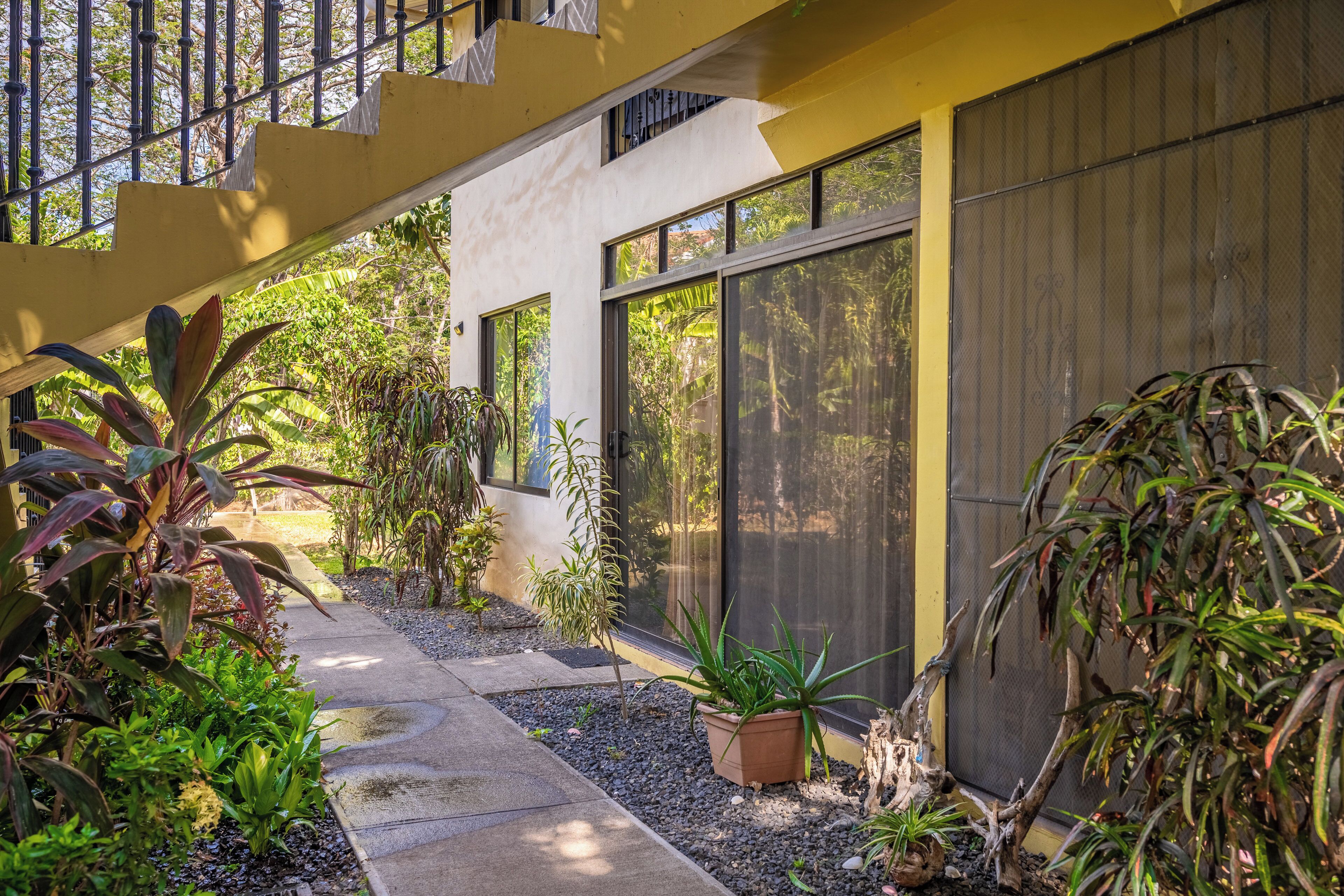 A modern building with large windows, a covered walkway, and a variety of plants.