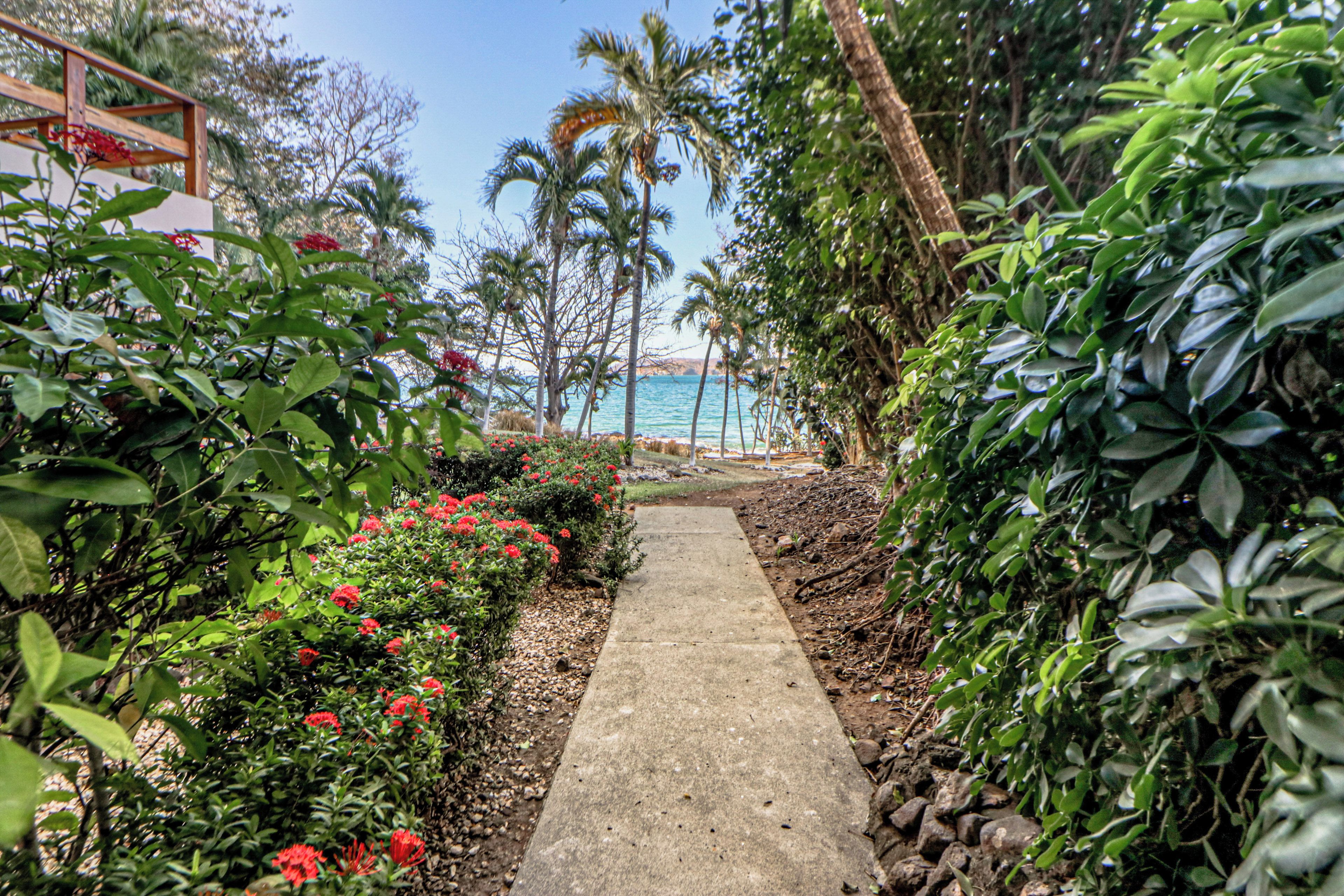 A pathway leading to a beach with palm trees and red flowers.