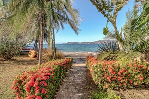 A pathway leading to a beach with palm trees and red flowers. - Ideal 2BR Oceanfront 2nd-floor Balcony (Cabo Velas)