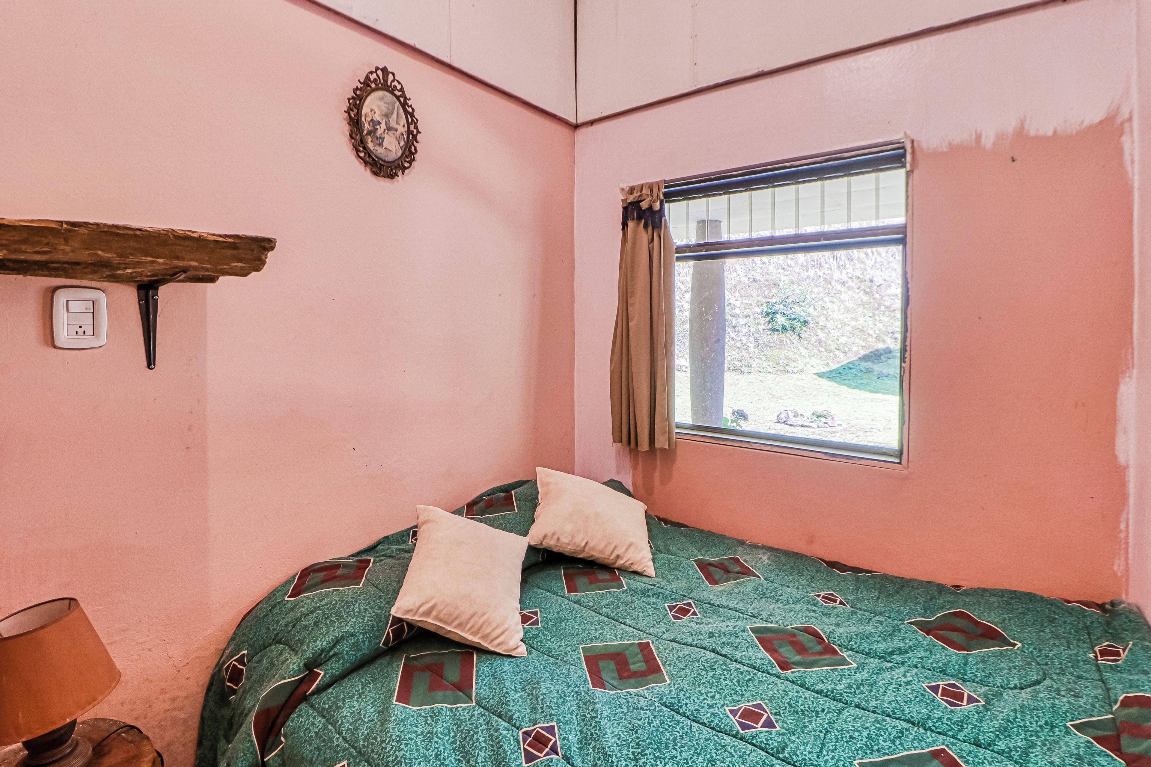 A room with a single bed, a window with a view, a wall socket, and a decorative mirror.