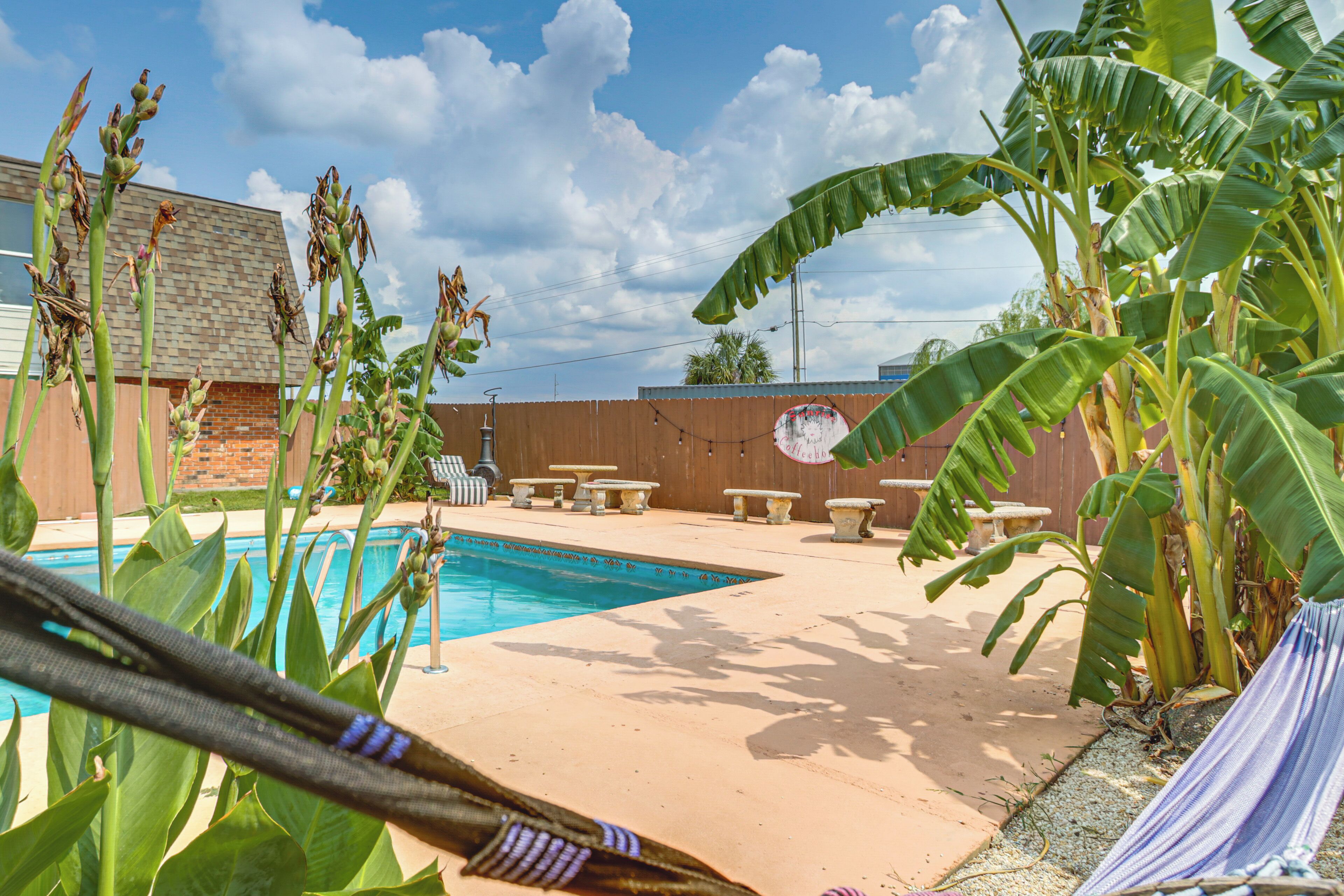 A backyard with a swimming pool, patio furniture, and large banana plants.