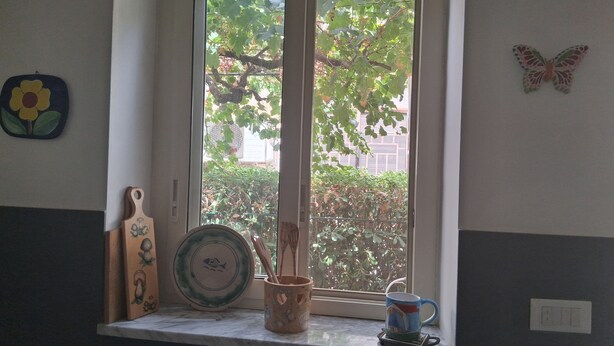 A kitchen window with a view of greenery, a flower decoration, and a butterfly ornament.