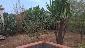 A corner garden area with a stone planter, a variety of plants, and a tree. - Villa 'Villetta Ninetta' with Mountain View, Wi-Fi and Air Conditioning (Carini(Pa))