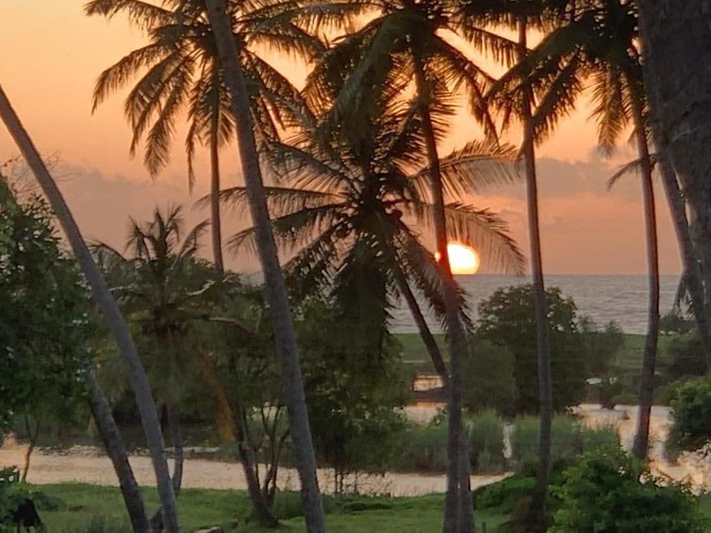 A sunset with palm trees and a beach in the background.