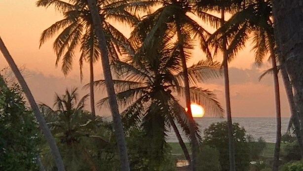 Atardecer con palmeras y una playa al fondo.