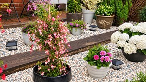Ein Garten mit verschiedenen Kübelpflanzen und Blumen, einer Holzbank und einem Kiesweg.