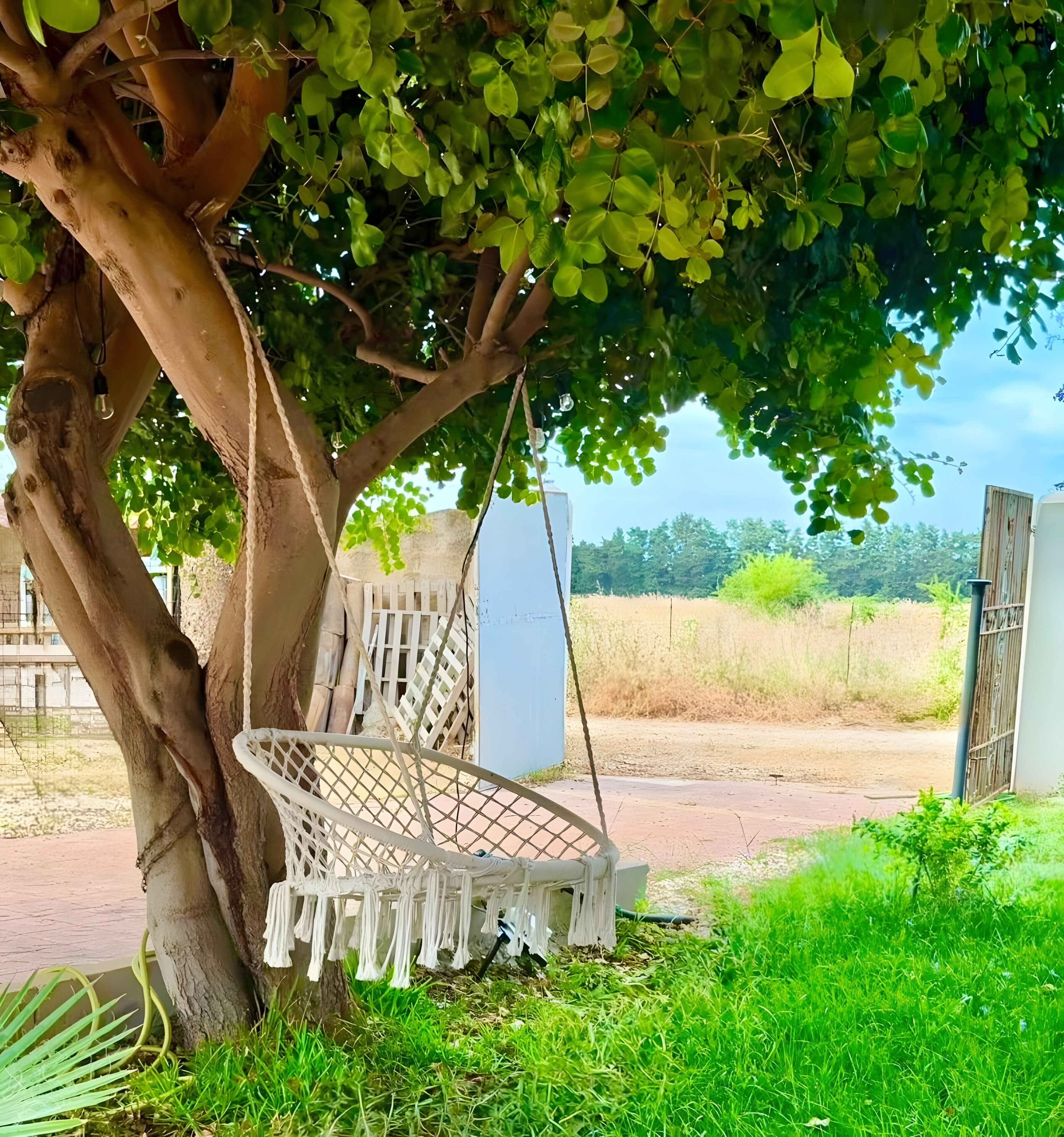 A tree with a swing chair under it, a white fence, and a view of a field.