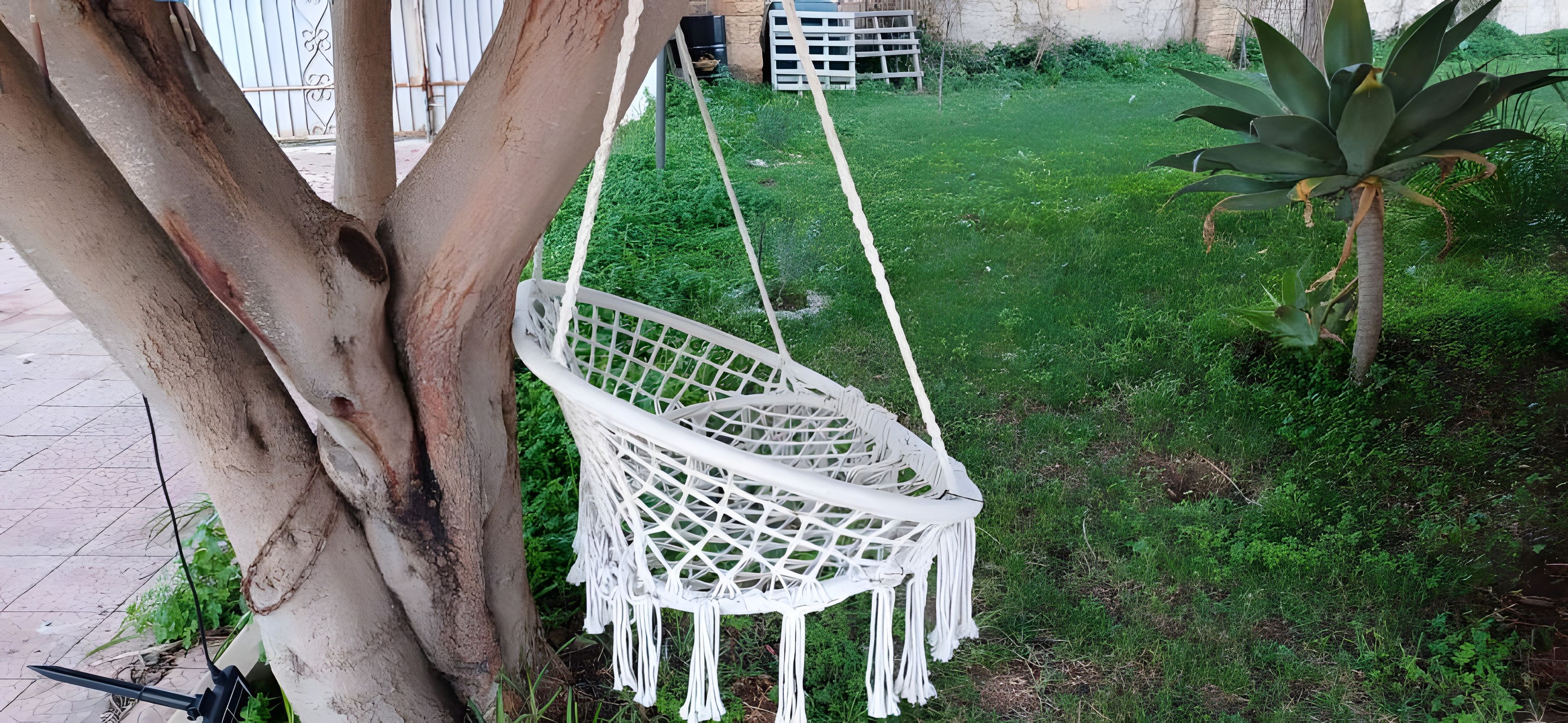 A white macrame hanging chair suspended from tree branches in a garden area with grass and a small plant.