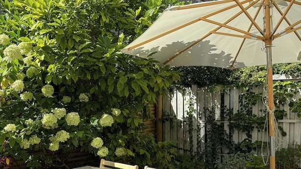 Et træbord med stole og en stor parasol i en have.