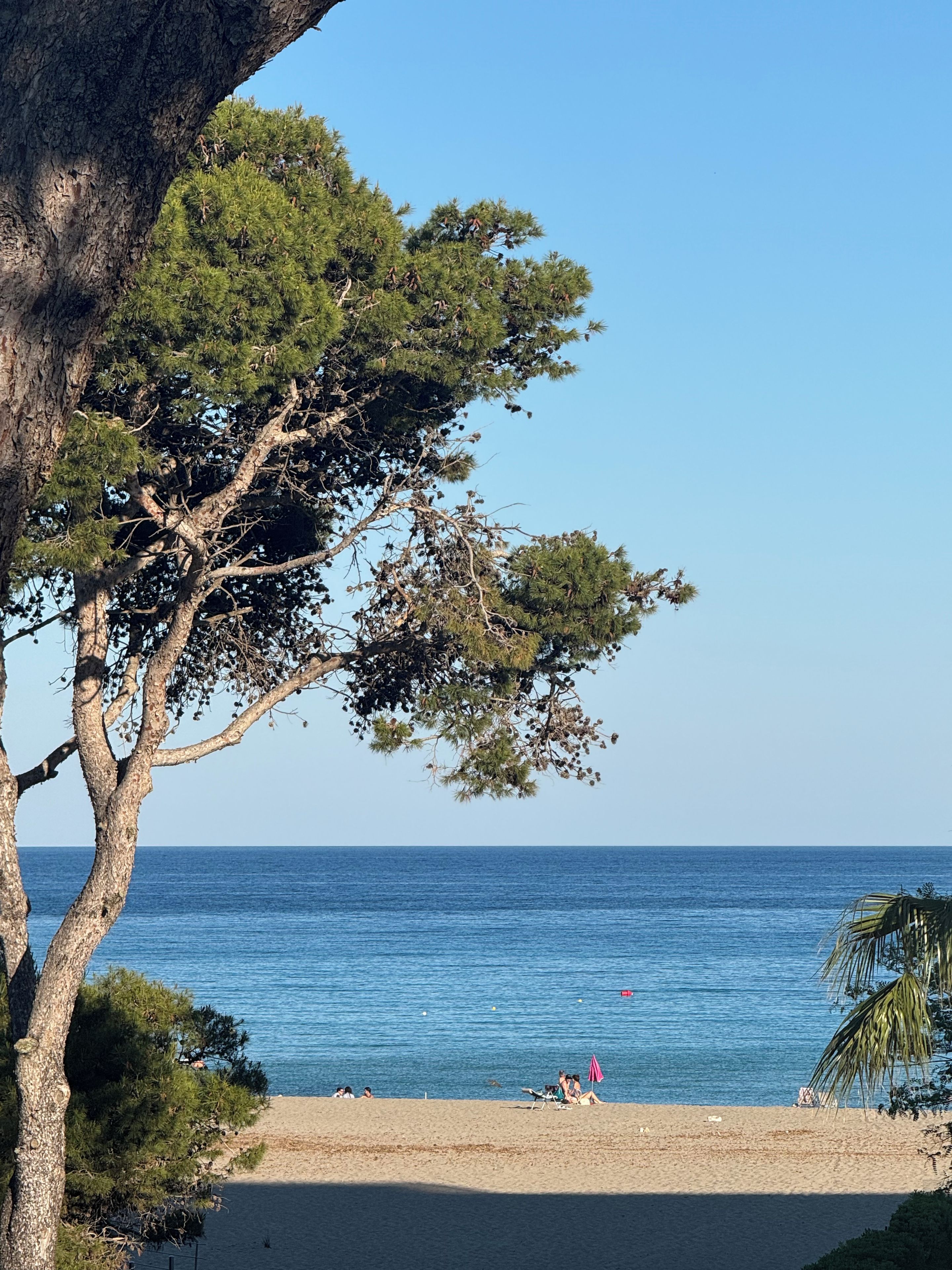 Una playa con vista despejada al mar, algunas personas relajándose y un árbol grande al frente.