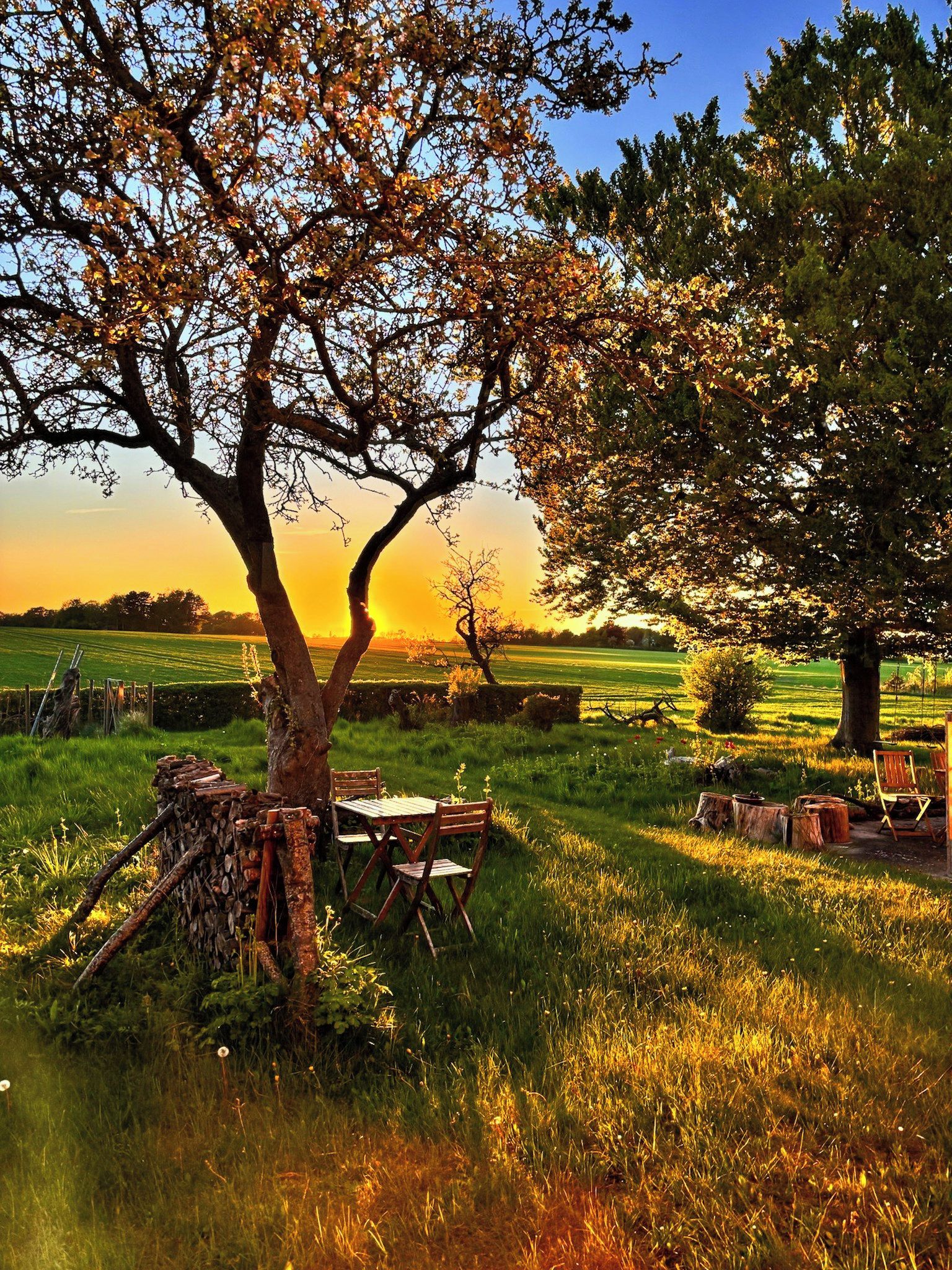 A rustic outdoor seating area with a table and chairs under a tree, surrounded by a grassy field and a sunset in the background.