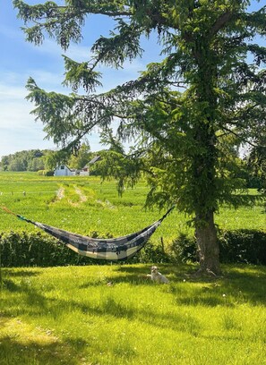 Een hangmat onder een boom in een grasveld, met een wit gebouw op de achtergrond.