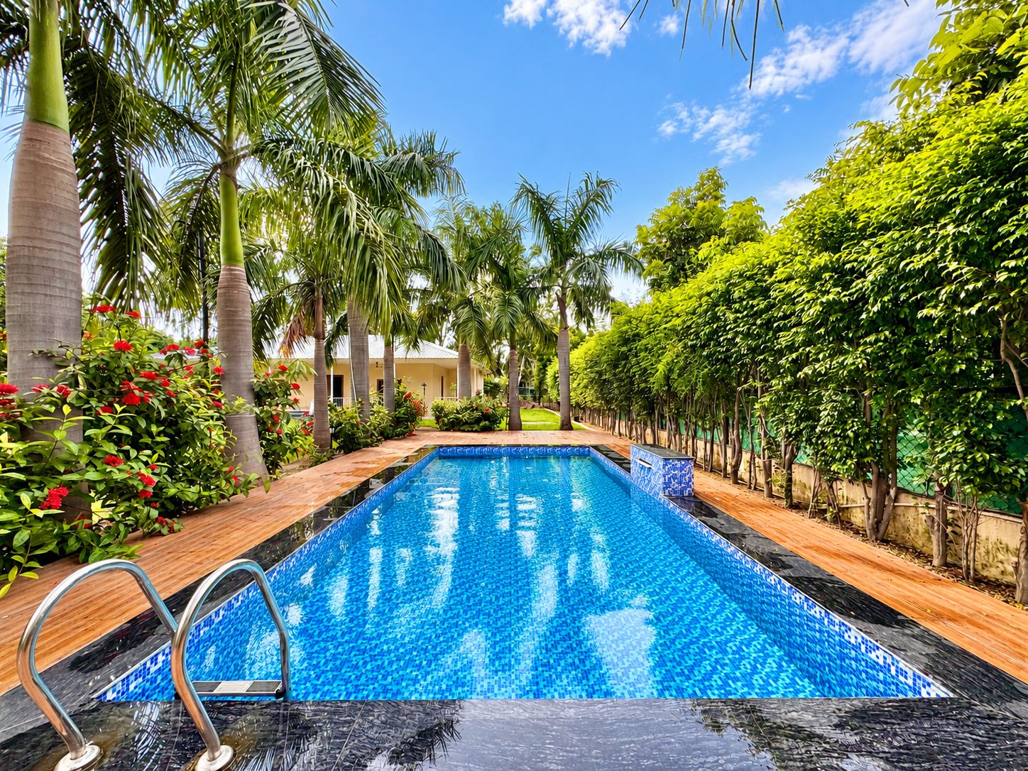 Una piscina rectangular con agua cristalina azul, rodeada de palmeras y abundante vegetación.