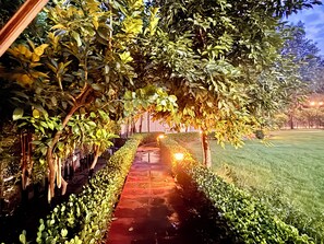 Taman