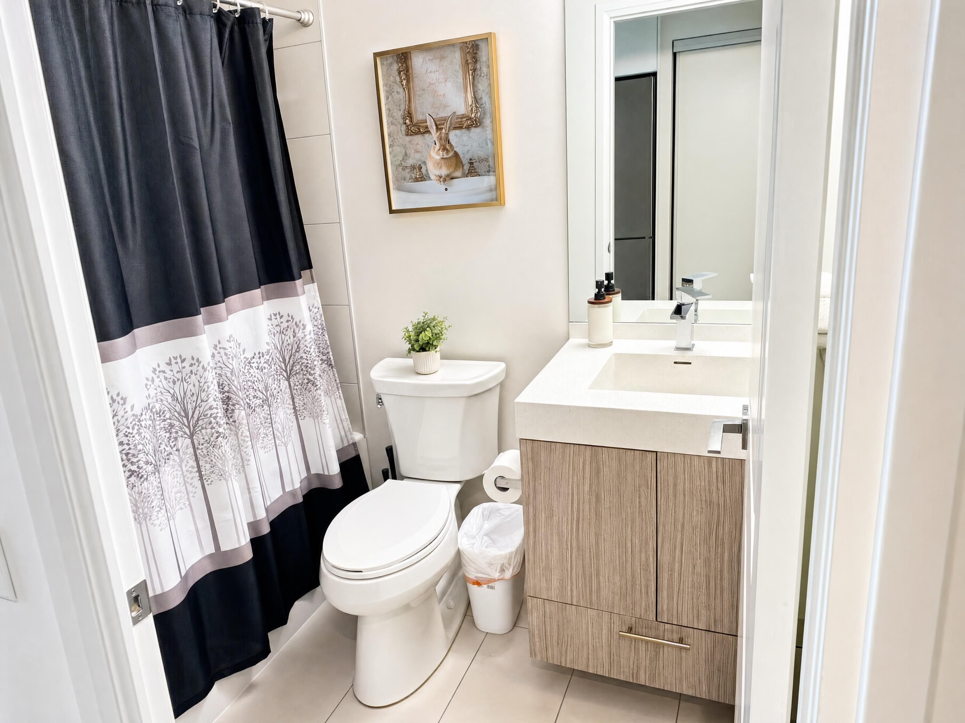 Hair dryer, bidet, towels, soap