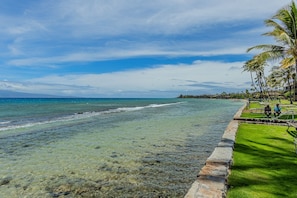 A beach with clear water, a stone walkway, and palm trees. - Papakea C204 Condo (Lahaina)