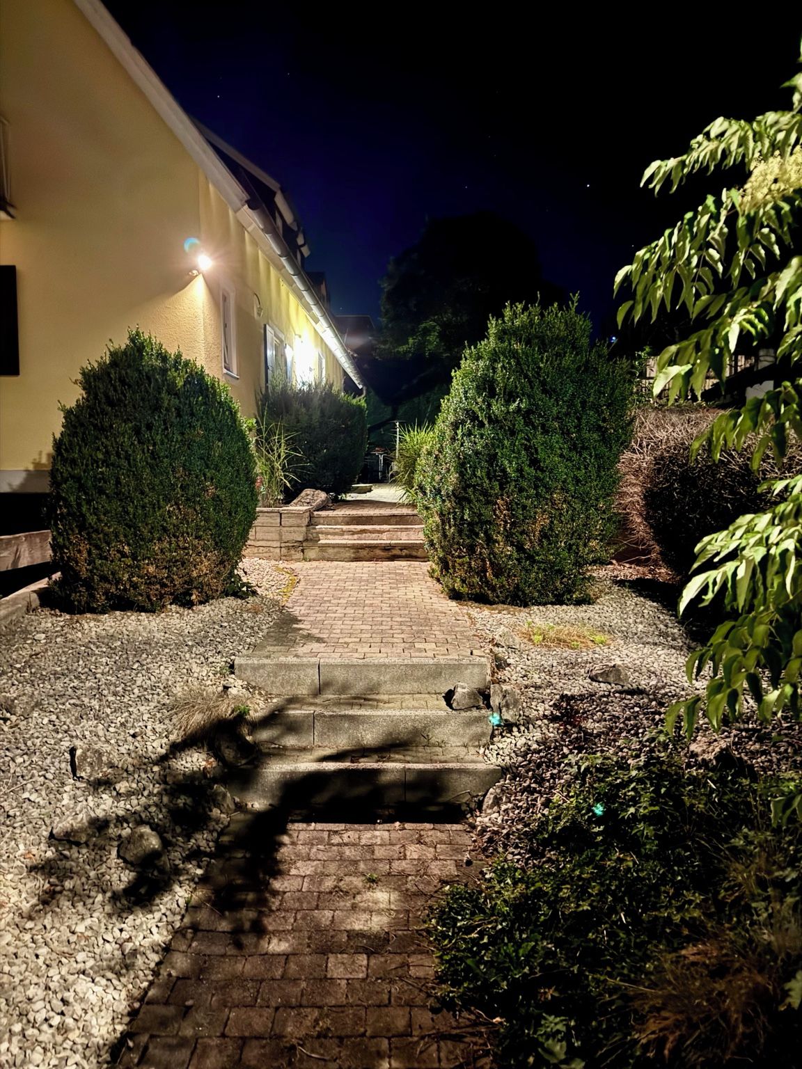 Ein nächtlicher Weg führt zu einem Gebäude mit gelber Fassade, gesäumt von ordentlich geschnittenen Büschen und Kies.